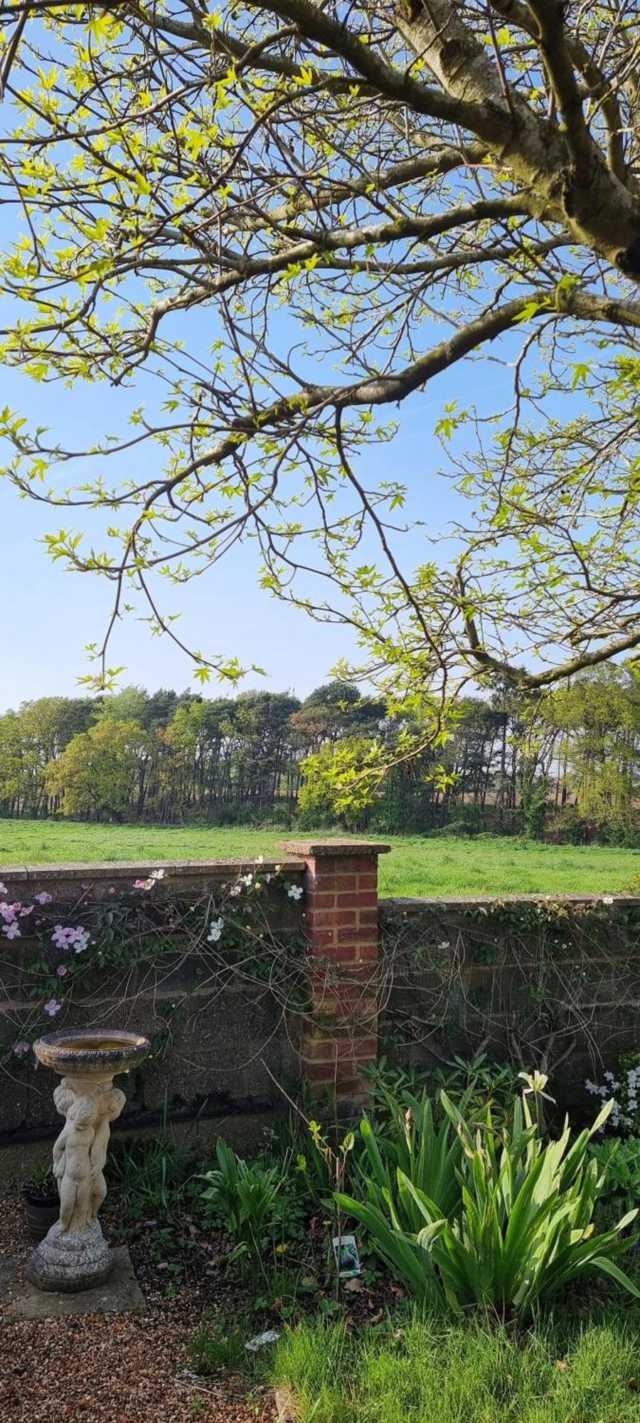 Begonia Cottage Briston Exterior foto